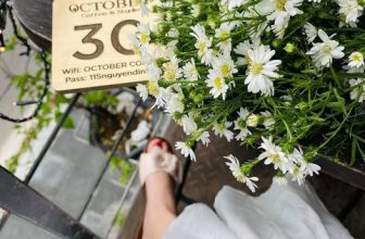 [☕️🇻🇳] Tháng 10 – October coffee – studio   🥤 Top1Coffee ☕️ “Có nhiều lúc bạn đã cố gắng hết sức nhưng vẫn chưa thể có được những gì bạn muốn, không phải là vì bạn không xứng mà chỉ là thờ , shares-0✔️ , likes-7❤️️ , date-2021-04-04 10:00:20🇻🇳🇻🇳🇻🇳📰🆕