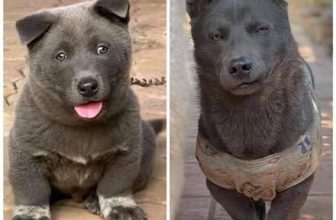 [☕️🇻🇳] COCha Milktea – coffee – Cửa hàng bán món tráng miệng · Quán cà phê · Nhà hàng 🥤 Top1Coffee ☕️ Gừng càng già càng cay
, shares-0✔️ , likes-3❤️️ , date-2021-04-08 08:41:09🇻🇳🇻🇳🇻🇳📰🆕