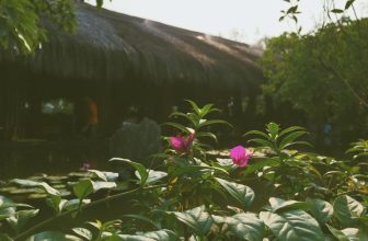 [☕️🇻🇳] CoCo’s Coffee 🥤 Top1Coffee ☕️ Vẫn bình yên thế giữa phố thị người đông
—————————
#cocoscoffee
57 Nguyễn Hữu Cảnh – Đồng Hới – Quảng Bình
#coffeeshop #coff , shares-0✔️ , likes-4❤️️ , date-2021-04-11 03:29:15🇻🇳🇻🇳🇻🇳📰🆕