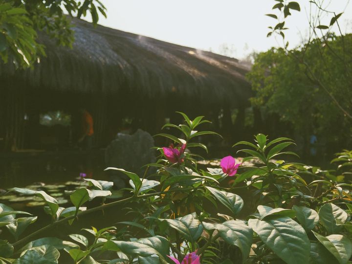 [☕️🇻🇳] CoCo’s Coffee 🥤 Top1Coffee ☕️ Vẫn bình yên thế giữa phố thị người đông
—————————
#cocoscoffee
57 Nguyễn Hữu Cảnh – Đồng Hới – Quảng Bình
#coffeeshop #coff , shares-0✔️ , likes-4❤️️ , date-2021-04-11 03:29:15🇻🇳🇻🇳🇻🇳📰🆕