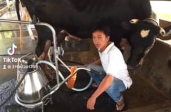 [☕️🇻🇳] COCha Milktea – coffee – Cửa hàng bán món tráng miệng · Quán cà phê · Nhà hàng 🥤 Top1Coffee ☕️  , shares-0✔️ , likes-2❤️️ , date-2021-05-06 04:20:53🇻🇳🇻🇳🇻🇳📰🆕