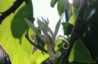 [☕️🇻🇳] CoCo’s Coffee 🥤 Top1Coffee ☕️ Tình nồng như thoáng hương ngọc lan …
—————————
#cocoscoffee
57 Nguyễn Hữu Cảnh – Đồng Hới – Quảng Bình
#coffeeshop #coffee , shares-0✔️ , likes-4❤️️ , date-2021-04-24 01:19:50🇻🇳🇻🇳🇻🇳📰🆕