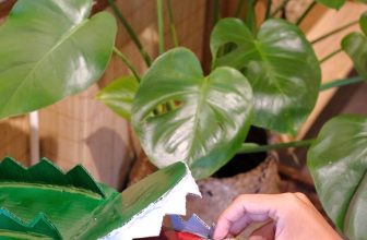 [☕️🇻🇳] 15.22 café – wine – live music 🥤 Top1Coffee ☕️ “𝐆𝐈𝐀̉𝐈 𝐂𝐔̛́𝐔 𝐏𝐈𝐍 𝐂𝐔̃”𝗖𝗵𝘂̛𝗼̛𝗻𝗴 𝘁𝗿𝗶̀𝗻𝗵 𝗖𝗛𝗢 𝗦𝗔̂́𝗨 𝗔̆𝗡 𝗣𝗜𝗡 – 𝗕𝗮̉𝗼 𝘃𝗲̣̂ 𝗺𝗼̂𝗶 𝘁𝗿𝘂̛𝗼̛̀𝗻𝗴. 𝗡𝗛𝗔̣̂𝗡 𝗤𝗨𝗔̀ 𝗖𝗨̛̣𝗖 𝗫𝗜𝗡𝗛
Bing Boong!!! Sấu , shares-3✔️ , likes-27❤️️ , date-2021-04-19 07:13:30🇻🇳🇻🇳🇻🇳📰🆕