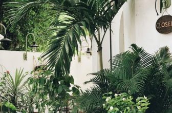 [☕️🇻🇳] Coming Home – Coffee – Tea 🥤 Top1Coffee ☕️ Một khu vườn nhỏ xinh tại Coming Home  Coming Home Coffee & Tea
____________________________________________  Địa chỉ: 59 đ , shares-0✔️ , likes-19❤️️ , date-2021-04-25 05:52:02🇻🇳🇻🇳🇻🇳📰🆕