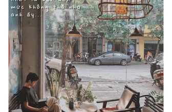 [☕️🇻🇳] 1976 Cà phê   🥤 Top1Coffee ☕️ 𝙱𝚊̣𝚗 𝚌𝚘́ đ𝚊̃ 𝚝𝚞̛̀𝚗𝚐 𝚗𝚑𝚞̛ 𝚟𝚊̣̂𝚢…?
___ 𝟭𝟵𝟳𝟲 𝗖𝗮̀ 𝗣𝗵𝗲̂
23 Nguyễn Thị Minh Khai, Tp.Huế
12 Hải Triều, Tp.Huế
#23nguyenthiminhkha , shares-1✔️ , likes-13❤️️ , date-2021-05-25 12:25:00🇻🇳🇻🇳🇻🇳📰🆕