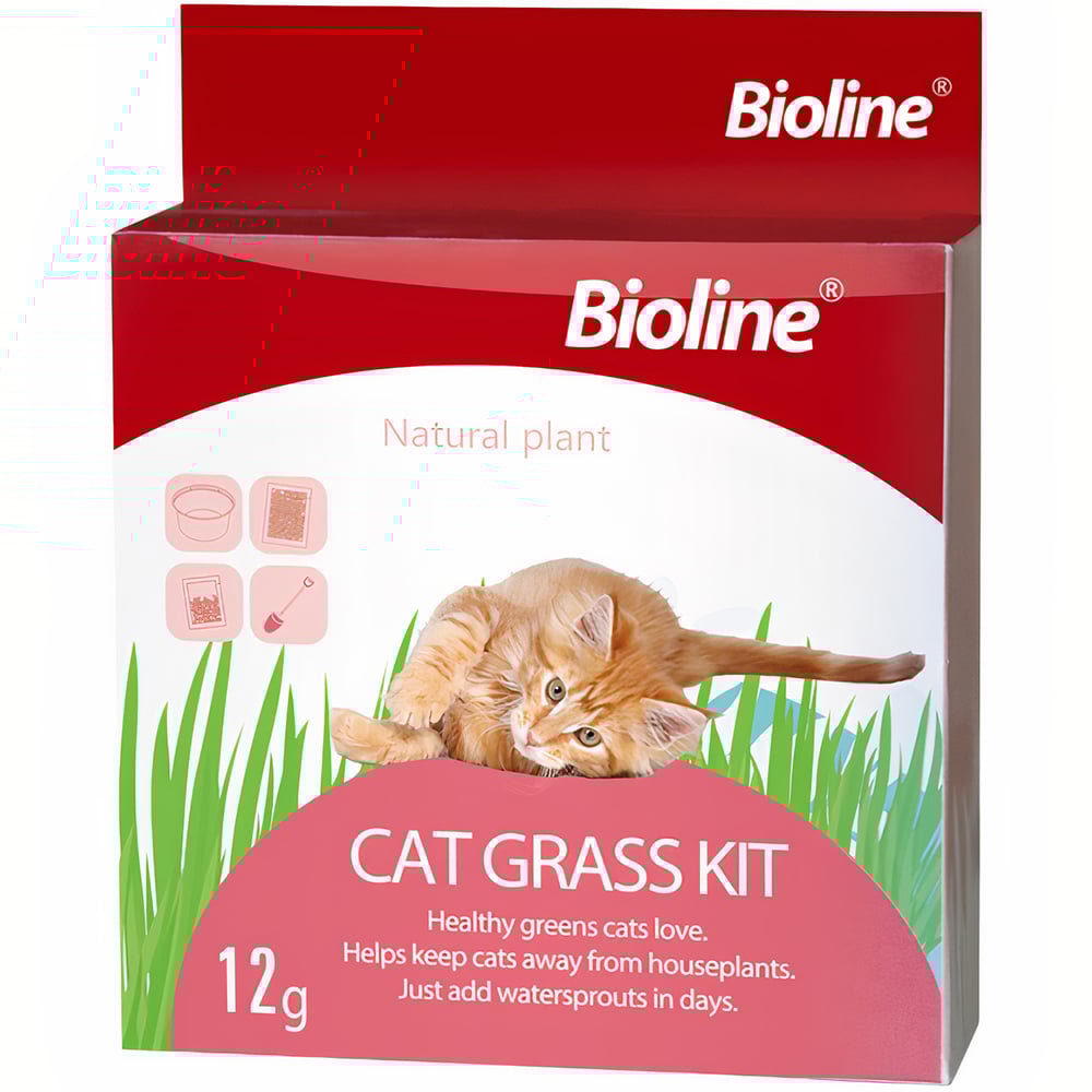 [🛒🇻🇳]Hạt giống trồng cỏ tươi cho mèo BIOLINE Cat Grass Kit | Pet Mart Cửa Hàng Thú Cưng – BIOLINE , SKU – 6970117120318 – petmart.vn 🇻🇳🛒Top1Shop🛒 🇻🇳Top1Vietnam🇻🇳 🛍🛒🇻🇳