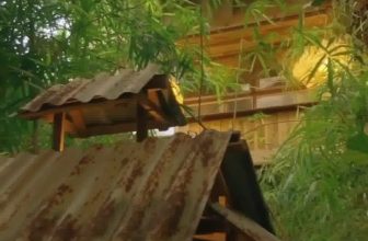 [☕️🇻🇳] 15.22 café – wine – live music 🥤 Top1Coffee ☕️ 𝗟𝗼̂́𝗶 𝘃𝗮̀𝗼 𝗮𝗻 𝘆𝗲̂𝗻𝘖̛̉ 𝘨𝘪𝘶̛̃𝘢 𝘯𝘩𝘶̛̃𝘯𝘨 𝘬𝘩𝘰̂́𝘪 𝘤𝘩𝘢̂́𝘵 𝘤𝘩𝘰̂̀𝘯𝘨 𝘤𝘶̉𝘢 𝘷𝘢̣̂𝘵 𝘤𝘩𝘢̂́𝘵, 𝘵𝘢 𝘤𝘢̂̀𝘯 𝘭𝘢̆́𝘮 𝘬𝘩𝘰𝘢̉𝘯𝘨 𝘵𝘳𝘰̂́𝘯𝘨 𝘵𝘢̂𝘮 𝘢𝘯 𝘺𝘦̂𝘯 đ𝘦̂ , shares-8✔️ , likes-121❤️️ , date-2021-07-01 02:58:00🇻🇳🇻🇳🇻🇳📰🆕