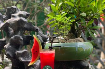 [☕️🇻🇳] Green Coffee Hà Nam 🥤 Top1Coffee ☕️ CUỐI TUẦN RỒI, MÌNH CÙNG HẸN HÒ THÔI!
Ngày thảnh thơi đã tới, bạn đã lên lịch gì chưa? Rủ nhau tới ngay Green Coffee Hà Nam để  , shares-0✔️ , likes-5❤️️ , date-2021-08-08 07:05:14🇻🇳🇻🇳🇻🇳📰🆕