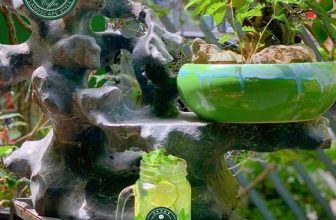 [☕️🇻🇳] Green Coffee Hà Nam 🥤 Top1Coffee ☕️  CÓ MỘT GREEN COFFEE XANH NHƯ THẾBỏ qua những tòa nhà kính với hơi lạnh điều hòa bên trong, ta về với cà phê sân vườn, hòa mì , shares-0✔️ , likes-9❤️️ , date-2021-08-14 07:31:49🇻🇳🇻🇳🇻🇳📰🆕