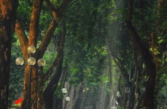 [☕️🇻🇳] Tháng 10 – October coffee – studio   🥤 Top1Coffee ☕️ 01 . 10 . 2021 – Xin chào, tháng 10 thân thươngVậy là tháng mới cũng đã sang và năm 2021 sẽ khép lại sau 3 tháng nữa.Tháng 1 , shares-0✔️ , likes-13❤️️ , date-2021-10-01 00:15:52🇻🇳🇻🇳🇻🇳📰🆕