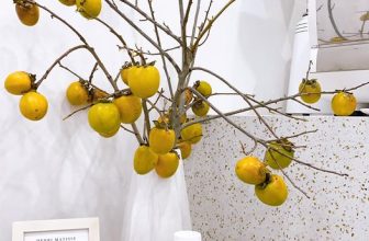 [☕️🇻🇳] A Room Café – Quán cà phê 🥤 Top1Coffee ☕️ 𝐓𝐫𝐮𝐧𝐠 𝐭𝐡𝐮 𝐥𝐚̀ đ𝐞̂̉ 𝐮𝐨̂́𝐧𝐠 𝐭𝐫𝐚̀,𝐥𝐨̂̀𝐧𝐠 đ𝐞̀𝐧 đ𝐞̂̉ 𝐧𝐠𝐚̆́𝐦, 𝐞𝐦 𝐥𝐚̀ đ𝐞̂̉ 𝐲𝐞̂𝐮
𝐀 𝐫𝐨𝐨𝐦 𝐱𝐢𝐧 𝐜𝐡𝐮́𝐜 𝐪𝐮𝐲́ 𝐤𝐡𝐚́𝐜𝐡 𝐜𝐨́ 𝐦𝐨̣̂𝐭 𝐧𝐠𝐚̀𝐲 𝐭𝐞̂́𝐭 𝐭𝐫𝐮 , shares-1✔️ , likes-23❤️️ , date-2021-09-21 03:16:42🇻🇳🇻🇳🇻🇳📰🆕