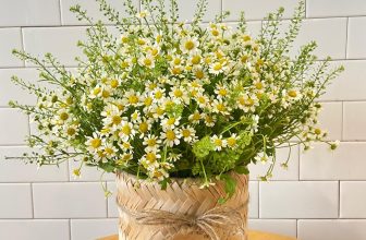 [☕️🇻🇳] La Gare Coffee 🥤 Top1Coffee ☕️ . . . chút yêu thương từ chị khách quen . . .    from La Gare with
, shares-0✔️ , likes-20❤️️ , date-2021-10-12 14:09:29🇻🇳🇻🇳🇻🇳📰🆕