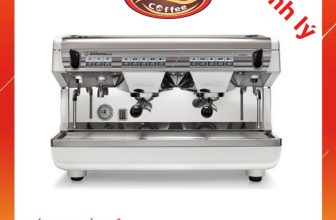 [☕️🇻🇳] Gia Cát Coffee – Cung cấp cây cảnh, nhận sét up cây cảnh cho quán cafe 🥤 Top1Coffee ☕️ CHẤT LƯỢNG – UY TÍN – NHANH CHÓNG
GIA CÁT COFFEE – LY CÀ PHÊ THƠM NỒNG, CHUẨN VỊ
Gia Cát Coffee tự hào cung cấp các dòng máy ph , shares-13✔️ , likes-188❤️️ , date-2021-09-13 07:18:36🇻🇳🇻🇳🇻🇳📰🆕