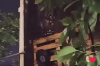 [☕️🇻🇳] Tháng 10 – October coffee – studio   🥤 Top1Coffee ☕️ Một chiếc reels xinh đẹp của khách Tháng Mười
, shares-0✔️ , likes-20❤️️ , date-2021-10-21 04:22:43🇻🇳🇻🇳🇻🇳📰🆕