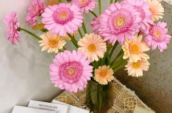 [☕️🇻🇳] A Room Café – Quán cà phê 🥤 Top1Coffee ☕️ 𝙎𝙬𝙚𝙚𝙩 𝘼𝙪𝙩𝙪𝙢𝙣 ———————————————————————
𝐒𝐨̂́ 𝟏𝟓 𝐋𝐨̂ 𝟏𝟖 𝐓𝐡𝐞̂́ 𝐋𝐮̛̃, 𝐇𝐨̂̀𝐧𝐠 𝐁𝐚̀𝐧𝐠, 𝐇𝐚̉𝐢 𝐏𝐡𝐨̀𝐧𝐠
#aroomcafe #coffeeshop #coffeetime #l , shares-0✔️ , likes-8❤️️ , date-2021-10-29 01:41:35🇻🇳🇻🇳🇻🇳📰🆕