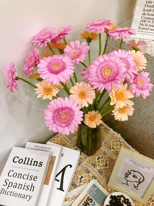 [☕️🇻🇳] A Room Café – Quán cà phê 🥤 Top1Coffee ☕️ 𝙎𝙬𝙚𝙚𝙩 𝘼𝙪𝙩𝙪𝙢𝙣 ———————————————————————
𝐒𝐨̂́ 𝟏𝟓 𝐋𝐨̂ 𝟏𝟖 𝐓𝐡𝐞̂́ 𝐋𝐮̛̃, 𝐇𝐨̂̀𝐧𝐠 𝐁𝐚̀𝐧𝐠, 𝐇𝐚̉𝐢 𝐏𝐡𝐨̀𝐧𝐠
#aroomcafe #coffeeshop #coffeetime #l , shares-0✔️ , likes-8❤️️ , date-2021-10-29 01:41:35🇻🇳🇻🇳🇻🇳📰🆕