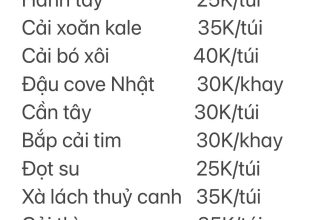 [☕️🇻🇳] Fcoffee 🥤 Top1Coffee ☕️ RAU CỦ QUẢ ĐÀ LẠTẤp ủ đã lâu, nay nhà F mở bát bán hàng rau củ quả Đà Lạt online. Nguồn hàng an toàn, xanh sạch theo tiêu chuẩ , shares-0✔️ , likes-2❤️️ , date-2021-11-08 02:45:05🇻🇳🇻🇳🇻🇳📰🆕