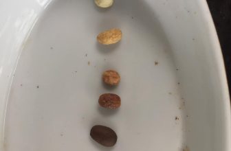 [☕️🇻🇳] ĐEN ROASTER Coffee – Tea 🥤 Top1Coffee ☕️ Anh thợ rang của ĐEN ROASTER ngày xưa đi học rang, thầy bắt anh ấy lấy hạt của từng giai đoạn phát triển hạt cafe trong quá trìn , shares-0✔️ , likes-8❤️️ , date-2021-11-29 08:37:11🇻🇳🇻🇳🇻🇳📰🆕