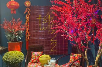 [☕️🇻🇳] Findi Coffee House 🥤 Top1Coffee ☕️ Cùng FinDi đón xuân Nhâm Dần
, shares-0✔️ , likes-30❤️️ , date-2021-12-31 11:29:20🇻🇳🇻🇳🇻🇳📰🆕