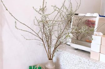 [☕️🇻🇳] A Room Café – Quán cà phê 🥤 Top1Coffee ☕️ 𝑻𝒆̂́𝒕 𝒏𝒂̀𝒚 𝒄𝒐𝒏 𝒔𝒆̃ 𝒗𝒆̂̀
𝑫𝒖̀ 𝒐̛̉ đ𝒂̂𝒖 𝒄𝒐𝒏 𝒄𝒖̃𝒏𝒈 𝒔𝒆̃ 𝒗𝒆̂̀ …
—————————————————————
Không khí tết đã ngập tràn ở A room, hãy đi c , shares-0✔️ , likes-14❤️️ , date-2022-01-17 06:57:45🇻🇳🇻🇳🇻🇳📰🆕