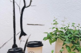 [☕️🇻🇳]  Loi’s Specialty Coffee – Purity🥤 Top1Coffee ☕️ LOI’S P PHỤC VỤ TAKE AWAY TỪ 10/01/2022.Những ngày này thành phố “đổi sắc” khắp nơi, người ta bàn tán nhiều về những “xanh”, “ , shares-5✔️ , likes-28❤️️ , date-2022-01-10 01:39:05🇻🇳🇻🇳🇻🇳📰🆕