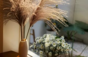 [☕️🇻🇳]  Loi’s Specialty Coffee – Purity🥤 Top1Coffee ☕️ Hoa cỏ lauMấy ngày nay trời hửng nắng, cái nắng nhẹ thôi, vừa đủ hắt lên vạn vật một chút ấm áp sau chuỗi gió mùa rét mướt.
, shares-0✔️ , likes-29❤️️ , date-2022-01-06 01:47:58🇻🇳🇻🇳🇻🇳📰🆕