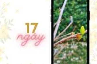 [☕️🇻🇳] La Gare Coffee 🥤 Top1Coffee ☕️ . . . [ tết 222 ] . . . hoa mai đầu tiên   . . . #lagarecoffee #tetnhamdan2022 #hoamai
_________________________
449 Nguyễn T , shares-0✔️ , likes-3❤️️ , date-2022-01-14 03:00:12🇻🇳🇻🇳🇻🇳📰🆕