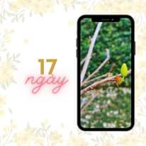 [☕️🇻🇳] CoCo’s Coffee 🥤 Top1Coffee ☕️ 𝐓𝐑𝐀̀ 𝐆𝐔̛̀𝐍𝐆 𝐓𝐔̛𝐎̛𝐈 𝐌𝐀̣̂𝐓 𝐎𝐍𝐆
Cơ thể được ủ ấm trong tiết trời đỏng đảnh lúc giao mùaGừng và mật ong đều được coi là những phươ , shares-0✔️ , likes-4❤️️ , date-2022-01-14 02:30:35🇻🇳🇻🇳🇻🇳📰🆕