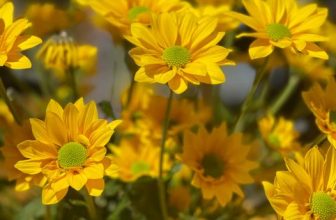 [☕️🇻🇳] Tungbook Coffee Hà Nội 🥤 Top1Coffee ☕️  Hà Nội  – NÓNG
Các cơ sở kinh doanh dịch vụ, nhà hàng, quán ăn, uống được phép hoạt động bình thường, không quy định đóng cửa , shares-0✔️ , likes-11❤️️ , date-2022-03-15 12:13:18🇻🇳🇻🇳🇻🇳📰🆕