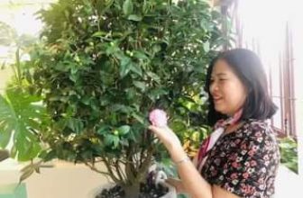 [☕️🇻🇳] Koi Coffee – Koi Cafe – điểm đến của mọi nhà 🥤 Top1Coffee ☕️  , shares-0✔️ , likes-7❤️️ , date-2022-03-07 15:02:53🇻🇳🇻🇳🇻🇳📰🆕