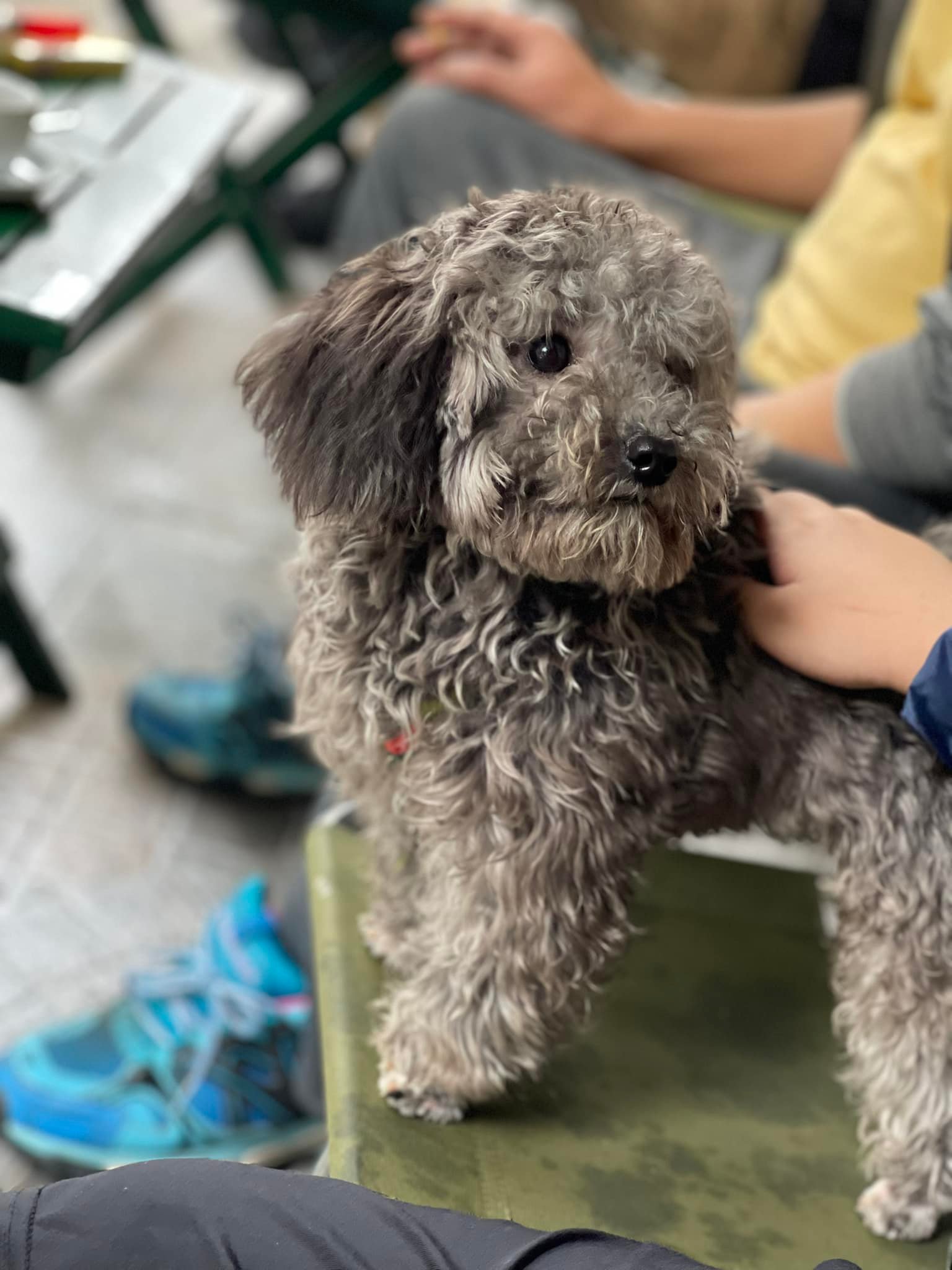 [☕️🇻🇳] Tungbook Coffee Hà Nội 🥤 Top1Coffee ☕️ Yêu bạn APU này toá 
 , shares-0✔️ , likes-8❤️️ , date-2022-03-19 09:42:57🇻🇳🇻🇳🇻🇳📰🆕