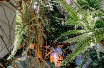 [☕️🇻🇳]1986 Tea-Coffee 🥤 Top1Coffee ☕️ Phải nhìn kĩ dô lùm mới thấy đang làm gì luôn á.
, shares-1✔️ , likes-12❤️️ , date-2022-03-28 06:34:52🇻🇳🇻🇳🇻🇳📰🆕