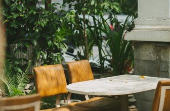 [☕️🇻🇳] Ochata Coffee  🥤 Top1Coffee ☕️ Một buổi trưa trong ngày đầu Hạ.Góc vườn bắt nắng nhưng vẫn có chiếc quạt siêu bự, bạn cứ yên tâm là không nóng quá đâu. Mà  , shares-0✔️ , likes-10❤️️ , date-2022-03-23 05:06:54🇻🇳🇻🇳🇻🇳📰🆕