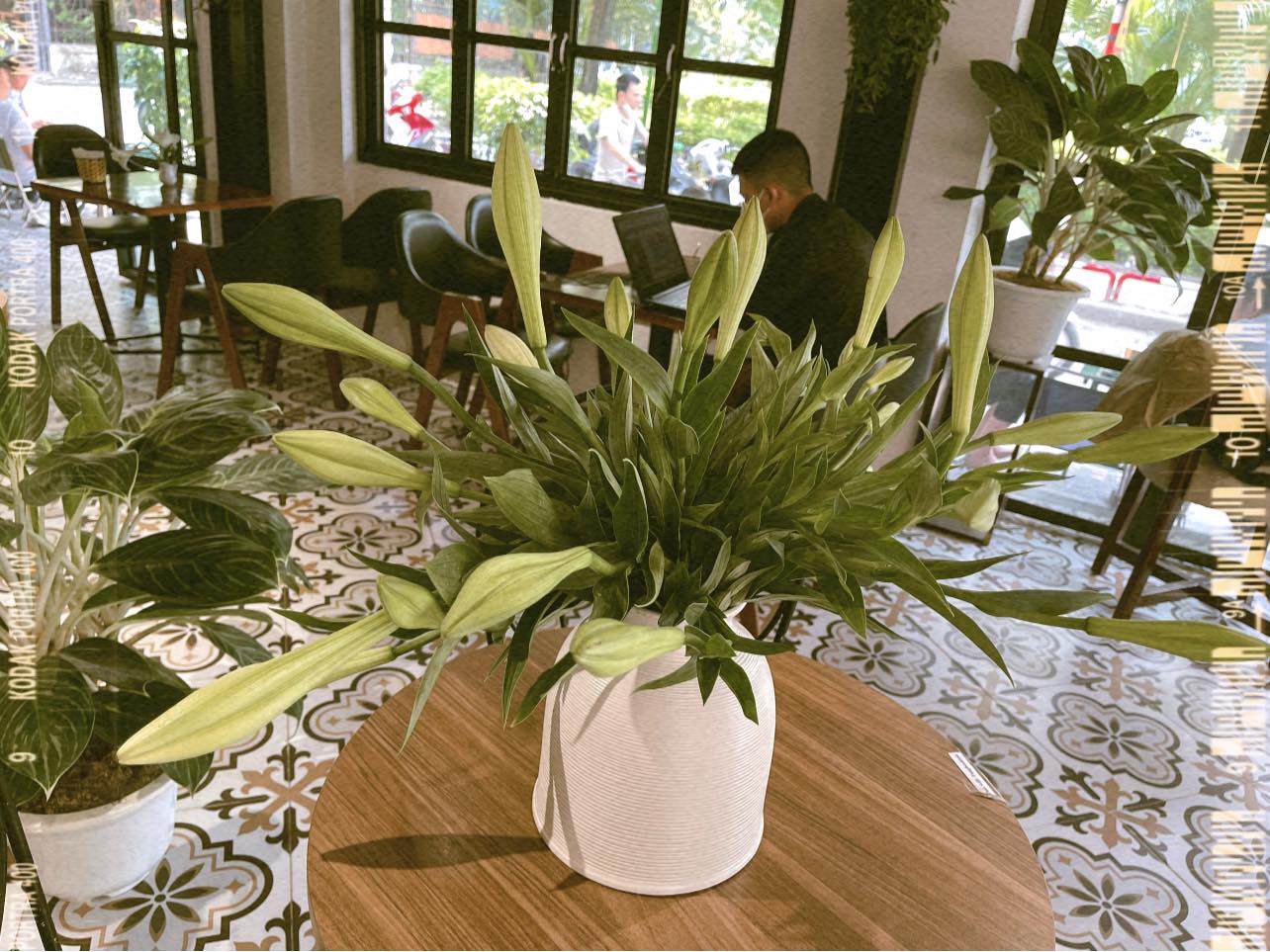 [☕️🇻🇳] Tungbook Coffee Hà Nội 🥤 Top1Coffee ☕️ Em xuống phố, dịu dàng duyên dáng
Trắng tinh khôi trong sáng ngây thơ
Lung linh hoa nắng ngẩn ngơ
Loa kèn thổi khúc đợi chờ h , shares-0✔️ , likes-14❤️️ , date-2022-04-08 14:42:31🇻🇳🇻🇳🇻🇳📰🆕