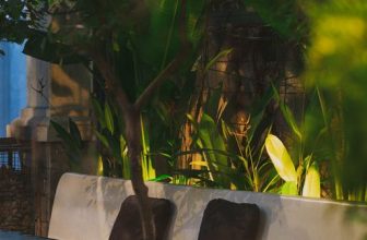 [☕️🇻🇳] Ochata Coffee  🥤 Top1Coffee ☕️ Mọi người có thấy điều gì đặc biệt trong bức ảnh?!!?
.
.
.
Ochata có cái cây mọc ngay giữa bàn
#byOrromia
𝐎𝐜𝐡𝐚𝐭𝐚 𝐂𝐨𝐟𝐟𝐞𝐞
, shares-1✔️ , likes-9❤️️ , date-2022-03-29 10:32:02🇻🇳🇻🇳🇻🇳📰🆕