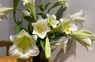 [☕️🇻🇳] Tungbook Coffee Hà Nội 🥤 Top1Coffee ☕️ Nghỉ nốt hôm nay thôi nhé
, shares-0✔️ , likes-5❤️️ , date-2022-04-11 03:53:22🇻🇳🇻🇳🇻🇳📰🆕