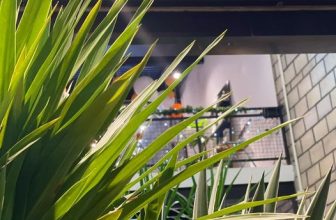 [☕️🇻🇳] 4 ĐỒNG 5 🥤 Top1Coffee ☕️ Cà phê đêm khác gì cà phê ngày?
– Cà phê ngày hay cụ thể hơn là cà phê vào buổi sớm mang cho bạn tâm thế háo hức, tràn đầy năng  , shares-2✔️ , likes-16❤️️ , date-2022-04-06 02:45:51🇻🇳🇻🇳🇻🇳📰🆕