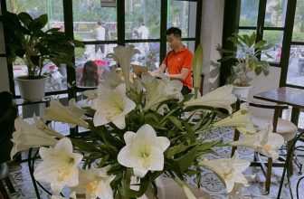 [☕️🇻🇳] Tungbook Coffee Hà Nội 🥤 Top1Coffee ☕️ Tháng Tư….là lời nói dối của anh !!!!
, shares-1✔️ , likes-8❤️️ , date-2022-04-14 08:47:16🇻🇳🇻🇳🇻🇳📰🆕