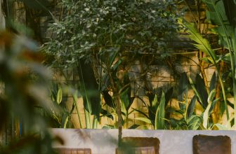 [☕️🇻🇳] Ochata Coffee  🥤 Top1Coffee ☕️ Sài Gòn vào mùa mưa!
Hơi ẩm ướt nhưng hứa hẹn một khu vườn đầy sức sống  #byOromia
𝐎𝐜𝐡𝐚𝐭𝐚 𝐂𝐨𝐟𝐟𝐞𝐞
/6A Ngô Thời Nhiệm, p7 Quận  , shares-1✔️ , likes-16❤️️ , date-2022-04-16 14:00:10🇻🇳🇻🇳🇻🇳📰🆕