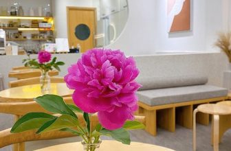 [☕️🇻🇳] A Room Café – Quán cà phê 🥤 Top1Coffee ☕️ Những lúc buồn hay suy nghĩ, hãy nhớ rằng thế giới này vẫn đang lén lút yêu thương bạn, vẫn có những người luôn che chở và đồng  , shares-1✔️ , likes-12❤️️ , date-2022-05-02 15:05:13🇻🇳🇻🇳🇻🇳📰🆕