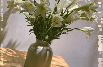 [☕️🇻🇳] Tungbook Coffee Hà Nội 🥤 Top1Coffee ☕️ Giữa thành phố xô bồ và náo nhiệt
Ta cần điều gì khác, ngoài những cuộc gặp gỡ bình yên !!
, shares-0✔️ , likes-5❤️️ , date-2022-05-08 11:51:41🇻🇳🇻🇳🇻🇳📰🆕