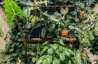 [☕️🇻🇳]1986 Tea-Coffee 🥤 Top1Coffee ☕️ Sáu ơi, cho liền cái matcha vừa béo vừa thơm..GẤP!
, shares-1✔️ , likes-15❤️️ , date-2022-05-04 04:09:42🇻🇳🇻🇳🇻🇳📰🆕