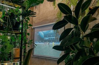 [☕️🇻🇳]1986 Tea-Coffee 🥤 Top1Coffee ☕️ Ai đoán đúng tỷ số, Sáu tặng ngay ly trà sữa để ca ngợi tài dự đoán số đề của các bạn.
Thời gian kết thúc cm dự đoán: 19h45 nh , shares-0✔️ , likes-21❤️️ , date-2022-05-22 12:14:13🇻🇳🇻🇳🇻🇳📰🆕