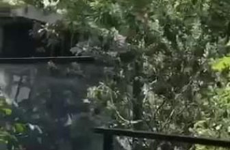 [☕️🇻🇳] D House – Coffee 🥤 Top1Coffee ☕️ Cafe cuối tuần..
_______________________
D House & Coffee
01 Phan Đình Phùng, TP Huế
#hue #cafe #dimo #quancfhue #cfhue # , shares-0✔️ , likes-14❤️️ , date-2022-06-04 02:44:25🇻🇳🇻🇳🇻🇳📰🆕