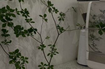 [☕️🇻🇳] A Room Café – Quán cà phê 🥤 Top1Coffee ☕️ ᴋʜɪ ᴛʜᴀ̂́ʏ ᴀɪ ᴆᴏ́ ʙᴀ̣̂ᴛ ᴋʜᴏ́ᴄ ᴛʀᴜ̛ᴏ̛́ᴄ ᴍᴏ̣̂ᴛ ʙᴏ̣̂ ᴘʜɪᴍ ʟᴀ̃ɴɢ ᴍᴀ̣ɴ, ᴆᴜ̛̀ɴɢ ᴠᴏ̣̂ɪ ᴄʜᴇ̂ ʙᴀɪ ʜᴏ̣ ʏᴇ̂́ᴜ ᴆᴜᴏ̂́ɪ.
ʙᴏ̛̉ɪ ᴠɪ̀ … ᴄʜɪ̉ ᴄᴏ́ , shares-0✔️ , likes-7❤️️ , date-2022-06-08 13:30:47🇻🇳🇻🇳🇻🇳📰🆕