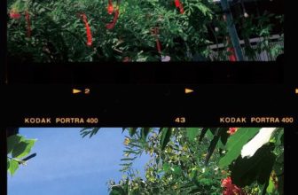 [☕️🇻🇳] 22 phẩy 5 coffee 🥤 Top1Coffee ☕️ Ai rồi cũng sẽ có một cái tên
Mà khi nhắc lại, tâm trí bồi hồi thổn thức về một thời bỏng cháy của thanh xuân
———
#22phay5cof , shares-0✔️ , likes-26❤️️ , date-2022-06-12 08:14:44🇻🇳🇻🇳🇻🇳📰🆕