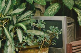 [☕️🇻🇳] 22 phẩy 5 coffee 🥤 Top1Coffee ☕️ “Tôi luôn luôn nhớ thương tuổi trẻ, tuổi của tình yêu nồng nàn. Khi tôi yêu thương cái tuổi đời ngào ngạt hương hoa này thì đồng , shares-0✔️ , likes-26❤️️ , date-2022-06-16 03:18:59🇻🇳🇻🇳🇻🇳📰🆕