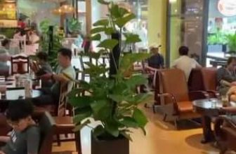 [☕️🇻🇳] Bắc Việt Coffee 🥤 Top1Coffee ☕️  Chào cuối tuần vui vẻ..!   Bắc Việt Coffee Vincom 3/2 – Q10 – Tp. Hồ Chí Minh.
, shares-0✔️ , likes-34❤️️ , date-2022-06-25 06:39:22🇻🇳🇻🇳🇻🇳📰🆕