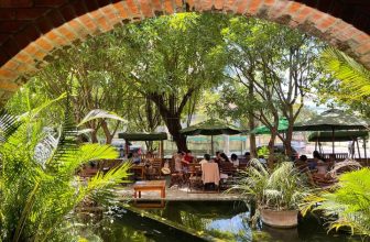 [☕️🇻🇳] Fcoffee 🥤 Top1Coffee ☕️ Giờ trưa nhưng Fcoffee vẫn luôn rập bóng cây xanh dim mát
, shares-2✔️ , likes-4❤️️ , date-2022-06-26 03:25:08🇻🇳🇻🇳🇻🇳📰🆕