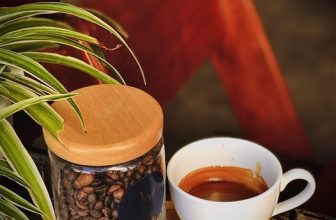 [☕️🇻🇳] 15.22 café – wine – live music 🥤 Top1Coffee ☕️ Cà phê nguyên chất mộc mạc mà quyến rũ! ———— WOOD COFFEE & JUICE ———
02 Thuỷ Xưởng – Phương Sơn  – Nha Trang ( bên h , shares-0✔️ , likes-14❤️️ , date-2022-07-15 03:42:08🇻🇳🇻🇳🇻🇳📰🆕